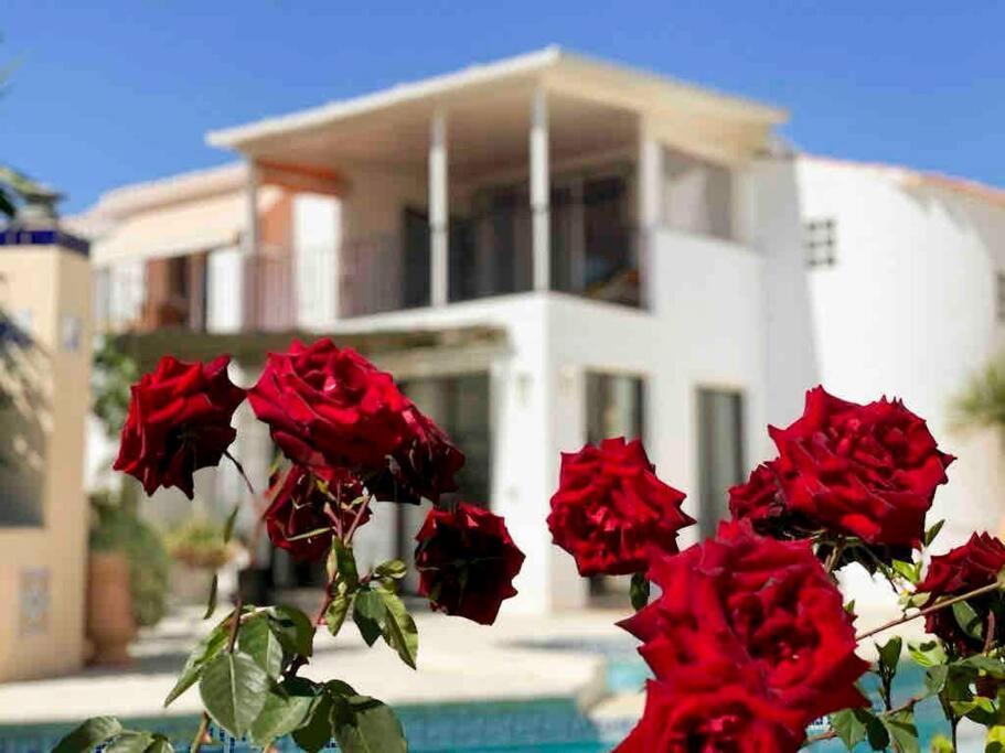 Villa Los Faramondos Naturehouse Turre Exteriör bild