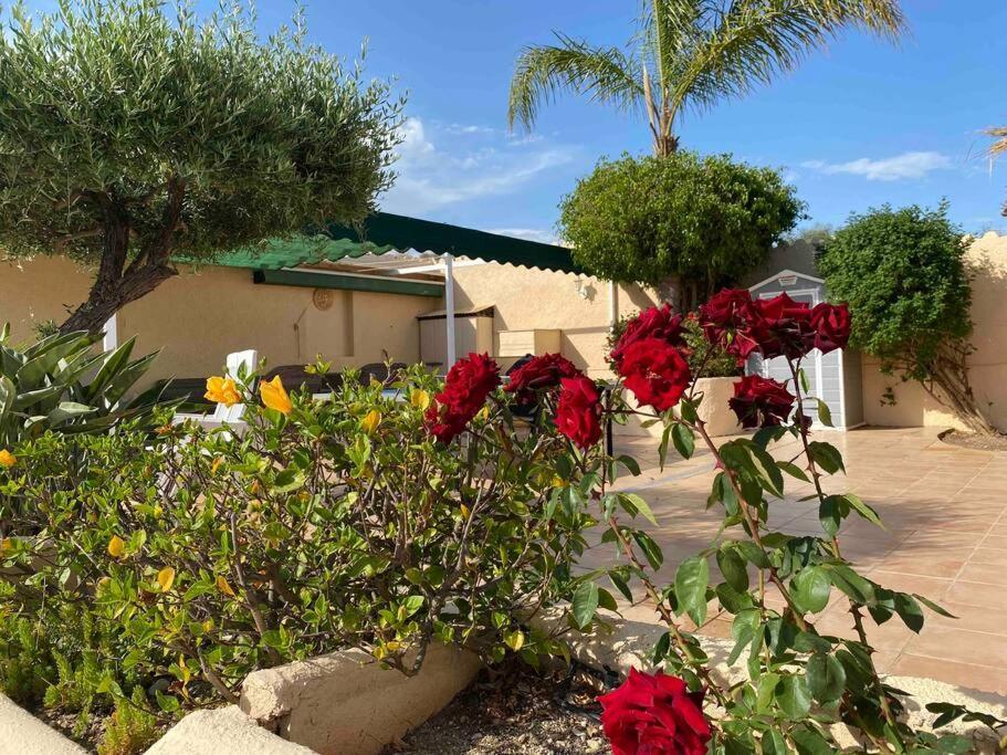 Villa Los Faramondos Naturehouse Turre Exteriör bild