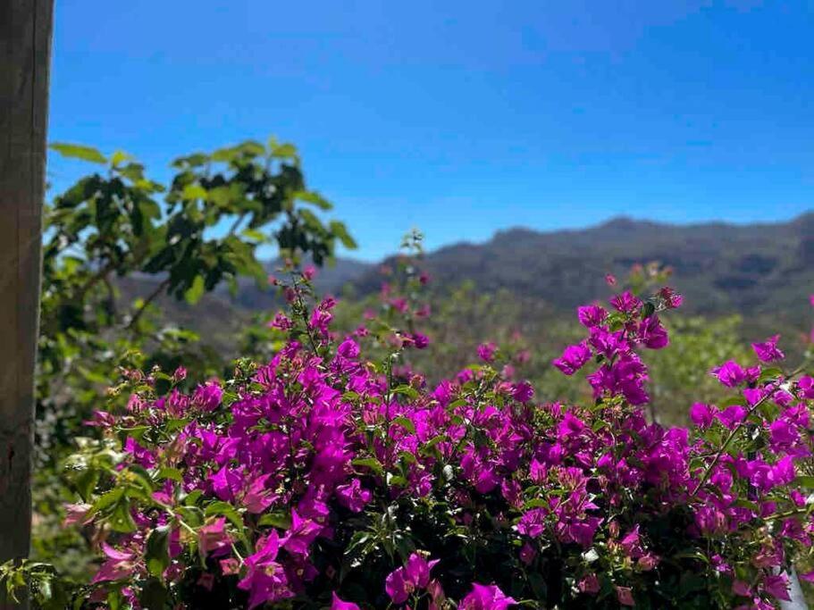 Villa Los Faramondos Naturehouse Turre Exteriör bild